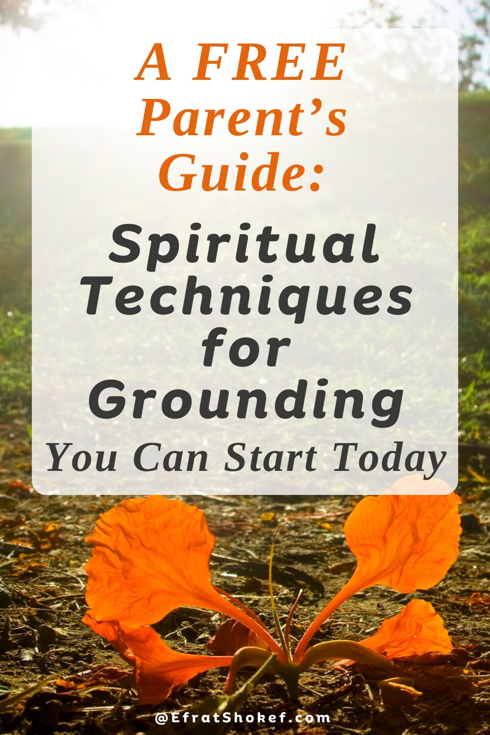 Energetic grounding to our physical body: Are you grounded? Is your child?