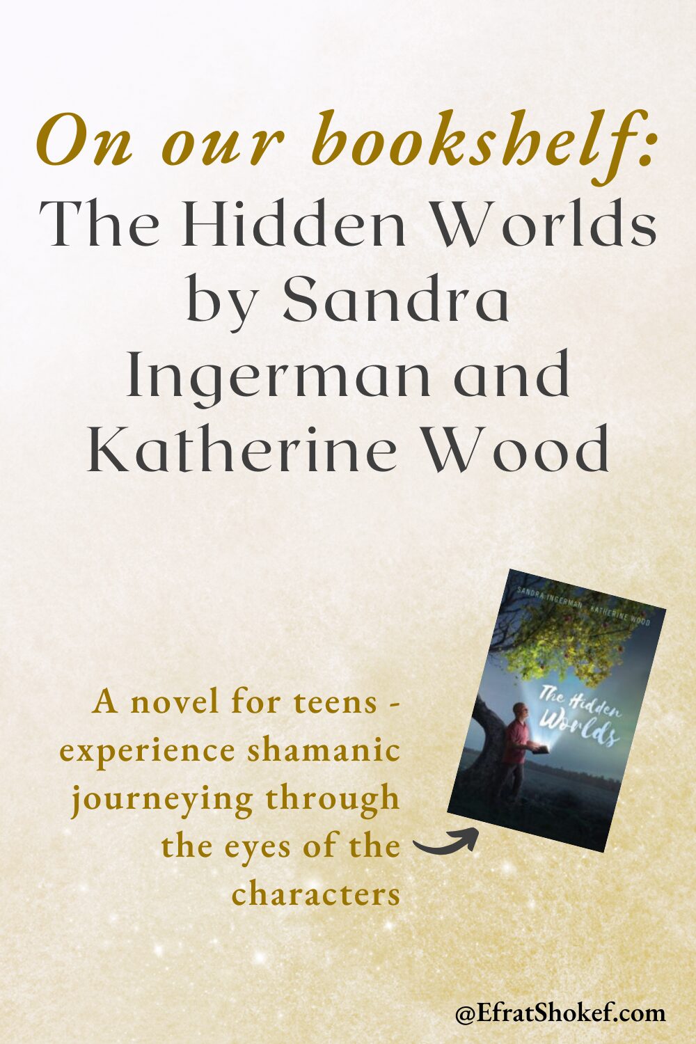 On our bookshelf: The Hidden Worlds by Sandra Ingerman and Katherine Wood