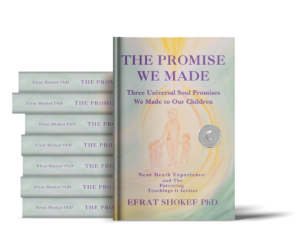 Praise for The Promise We Made