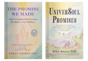 The Promise We Made Book and UniverSoul Promises Book By Efrat Shokef