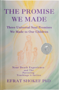 The Promise We Made Book
