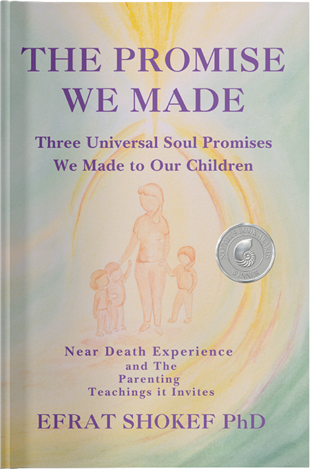 The Promise We Made Book