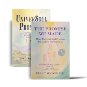 UniverSoul Promises and The Promise We Made Books’ Complimentary Resources
