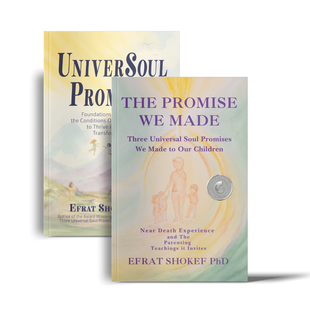 UniverSoul Promises and The Promise We Made Books’ Complimentary Resources