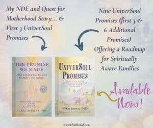 Comparison of two first books by efrat shokef