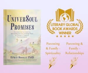 UniverSoul Promises is a 2025 iterary Global Book Award Winner