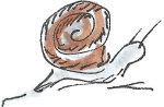 Snail
